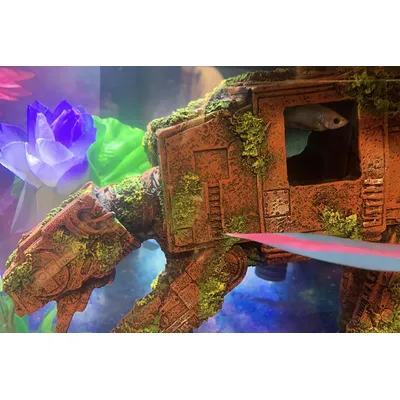 Décoration d'aquarium Transport Imperial Walker