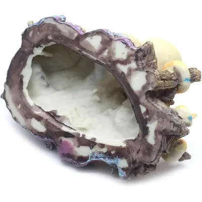 ZooVenture Ornement Poulpe Réaliste Pour Aquarium