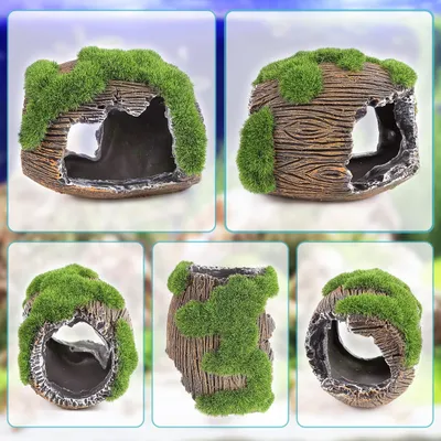 Simulation mousse - En résine