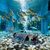 Décoration Aquarium Petit Avion