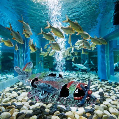 Décoration Aquarium Petit Avion
