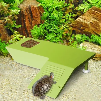 ZooVenture Plateformes De Prélassement Et D'escalade Pour Tortues