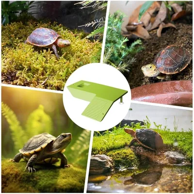 ZooVenture Plateformes De Prélassement Et D'escalade Pour Tortues