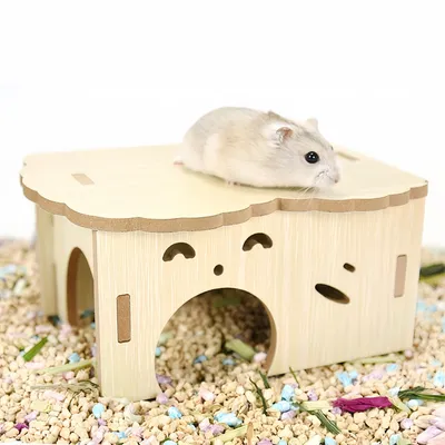 FurryFusion Maison pour animaux en bois
