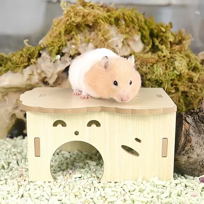 FurryFusion Maison pour animaux en bois