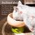 UAMLY Gamelle surélevée pour chat, forme tulipe