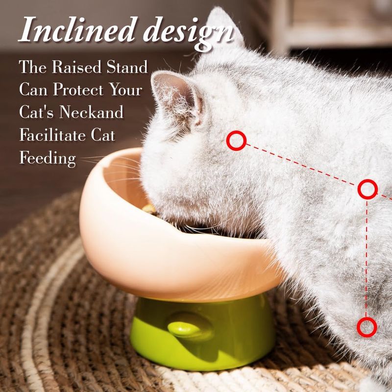UAMLY Gamelle surélevée pour chat, forme tulipe