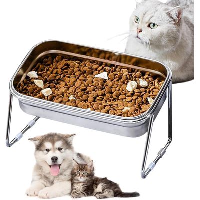 UAMLY Gamelle surélevée inclinée à 15° pour chat