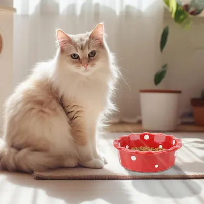 UAMLY Gamelle pour chat en céramique à pois