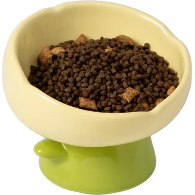 UAMLY Gamelle surélevée pour chat, forme tulipe