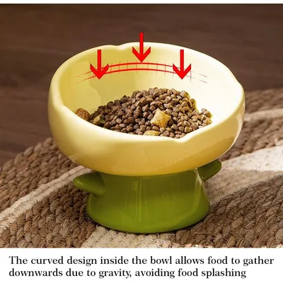 UAMLY Gamelle surélevée pour chat, forme tulipe