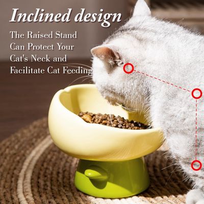 UAMLY Gamelle surélevée pour chat, forme tulipe