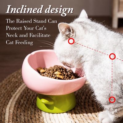 UAMLY Gamelle surélevée pour chat, forme tulipe