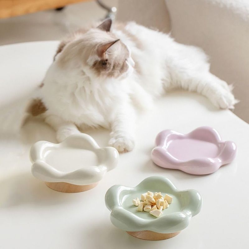 UAMLY Gamelle en céramique pour chat