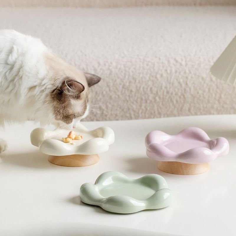 UAMLY Gamelle en céramique pour chat