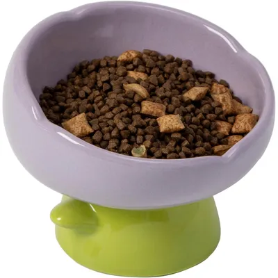 UAMLY Gamelle surélevée pour chat, forme tulipe