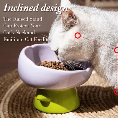 UAMLY Gamelle surélevée pour chat, forme tulipe