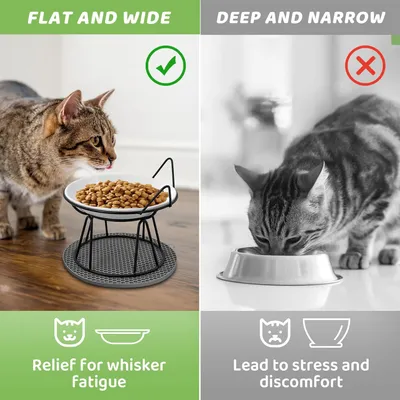 UAMLY Gamelle pour chat en céramique avec tapis antidérapant