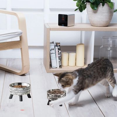UAMLY Comedero elevado para gatos, cuenco para gatos (Estilo 2)
