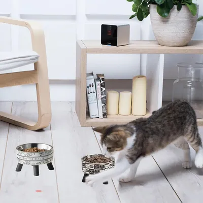 UAMLY Mangeoire surélevée pour chat, gamelle pour chat(Style 2)