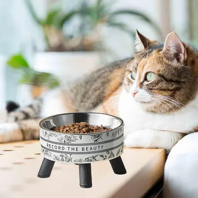 UAMLY Mangeoire surélevée pour chat, gamelle pour chat(Style 2)