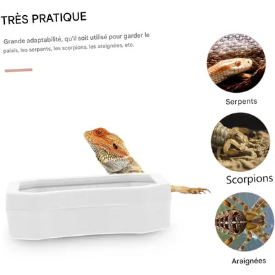ZooVenture Set De 10 Pièces Bacs D'eau Et Gamelles Pour Reptiles