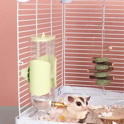 ZooVenture Abreuvoir Automatique 280ml Pour Oiseaux