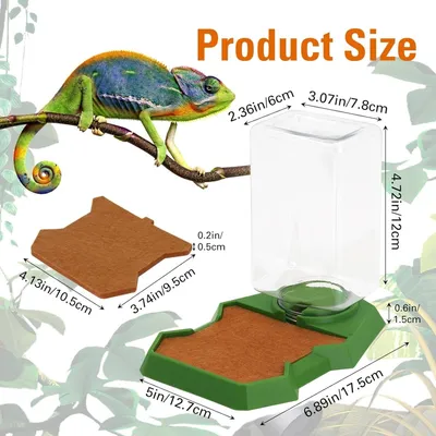 ZooVenture Distributeur D'Eau Automatiques Pour Reptiles