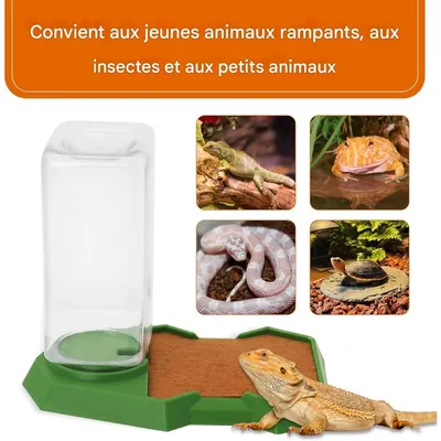 ZooVenture Distributeur D'Eau Automatiques Pour Reptiles