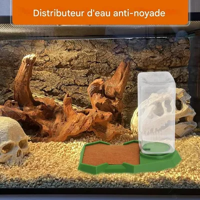 ZooVenture Distributeur D'Eau Automatiques Pour Reptiles