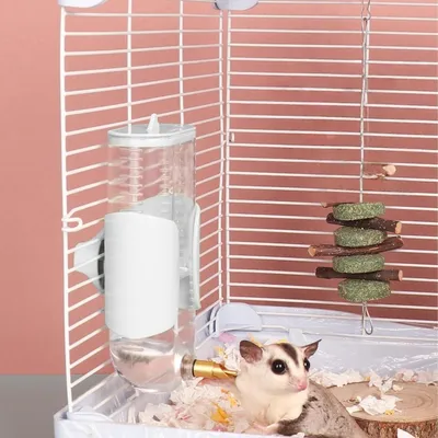 ZooVenture Bebedero automático para pájaros de 280 ml