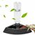 ZooVenture Distributeur De Nourriture Pour Tortues Terrestres