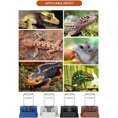 ZooVenture Lot De 2 Distributeurs D'Eau Automatiques Pour Petits Animaux