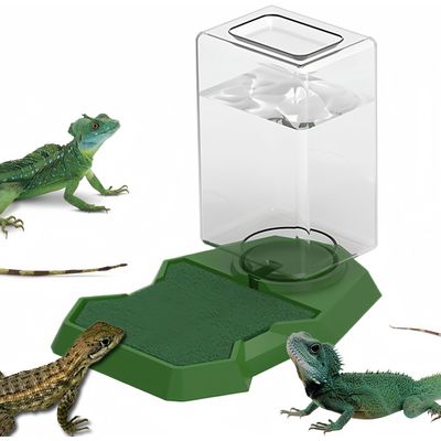 ZooVenture Distributeur D'Eau Automatiques Pour Reptiles