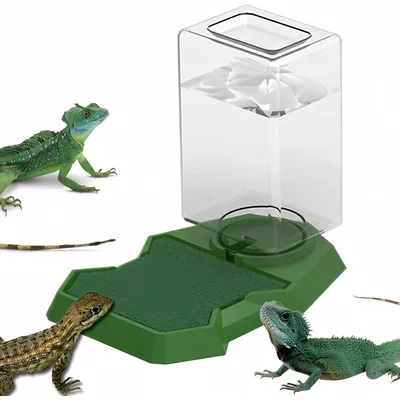 ZooVenture Distributeur D'Eau Automatiques Pour Reptiles
