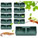 ZooVenture Gamelle 2 Compartiments Vert ABS Pour Reptiles