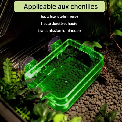 ZooVenture Ventouse Reptile Feeder Eau Bol Pour Tortue Gecko