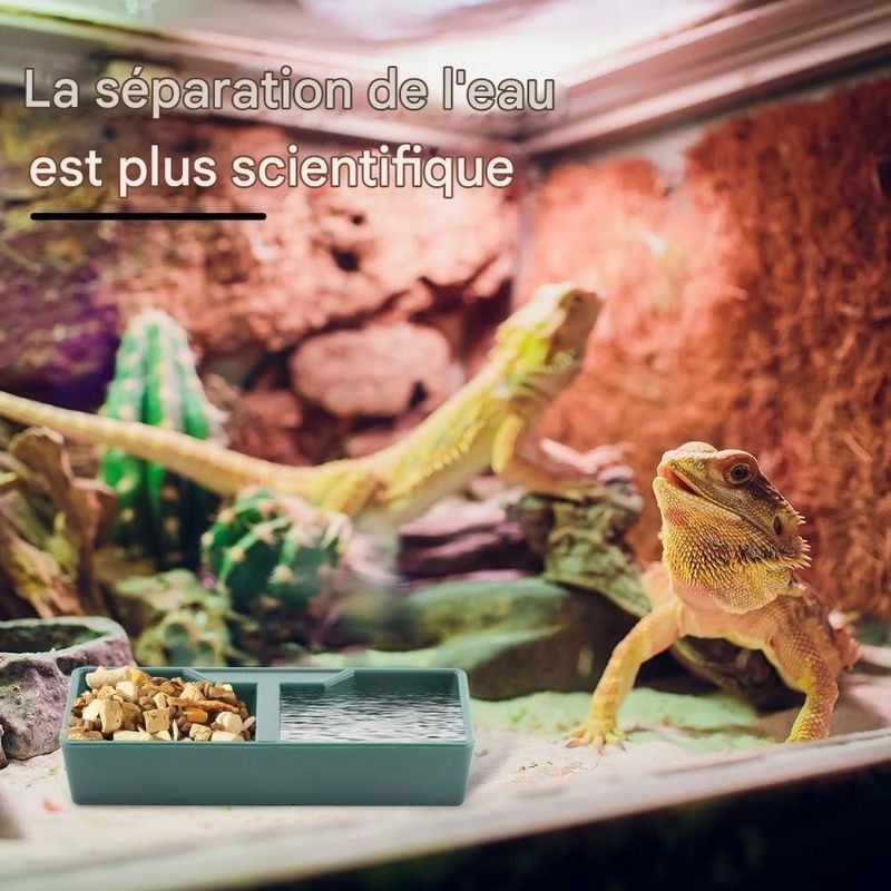 ZooVenture Gamelle 2 Compartiments Vert ABS Pour Reptiles