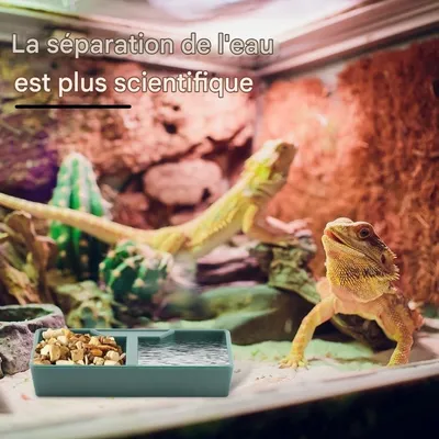 ZooVenture Gamelle 2 Compartiments Vert ABS Pour Reptiles