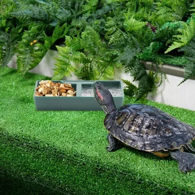 ZooVenture Gamelle 2 Compartiments Vert ABS Pour Reptiles