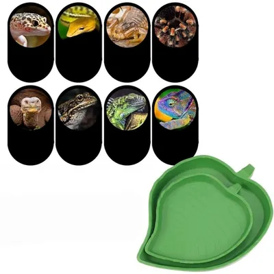 ZooVenture 2PC Bol Alimentation Et Eau Pour Tortues Lézards Hamsters