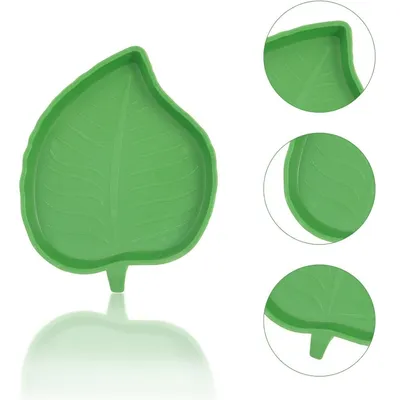 ZooVenture 2PC Bol Alimentation Et Eau Pour Tortues Lézards Hamsters