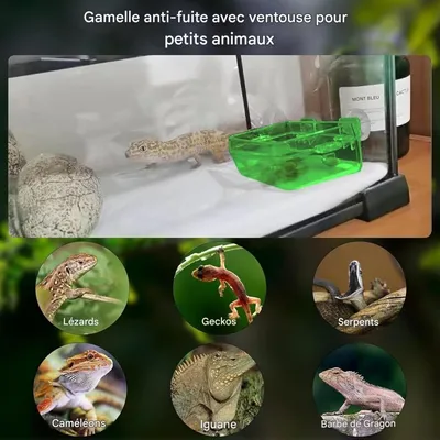 ZooVenture Ventouse Reptile Feeder Eau Bol Pour Tortue Gecko