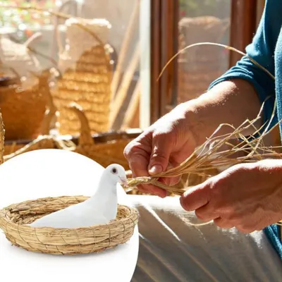 ZenPets Nids d'oiseaux en paille tissée