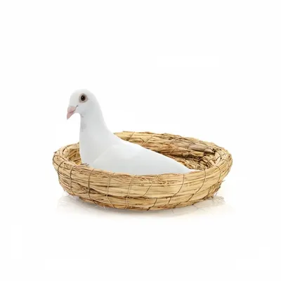 ZenPets Nids d'oiseaux en paille tissée