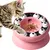 UAMLY Gamelle pour chat à alimentation lente