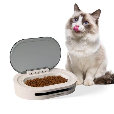 IntiMeg  Nourrisseur automatique pour animaux