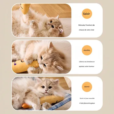 FurryFusion Jouet de chat en forme de poisson à menthe