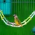 ZenPets Pont échelle pour oiseaux