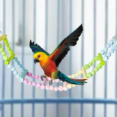 ZenPets Pont échelle pour oiseaux
